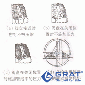 在偏置閥盤的閥體上的密封環
